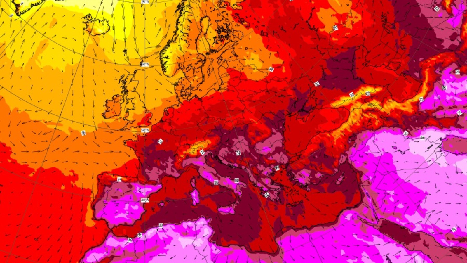 ecmwf